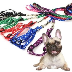 Correa De Tela Con Agarre y Clip + Pechero Ancho 1,5Cm Tamaño Mediano